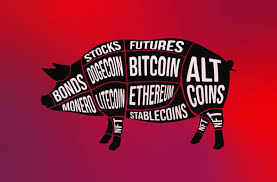 COMMON “PIG BUTCHERING” CRYPTO SCAMS IN 2026: THE COMPLETE INVESTOR’S GUIDE TO PREVENTION, RED FLAGS & RECOVERY